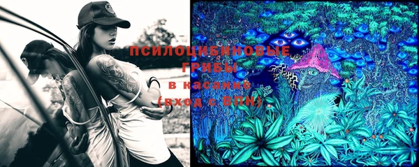 эйфоретик Пролетарск